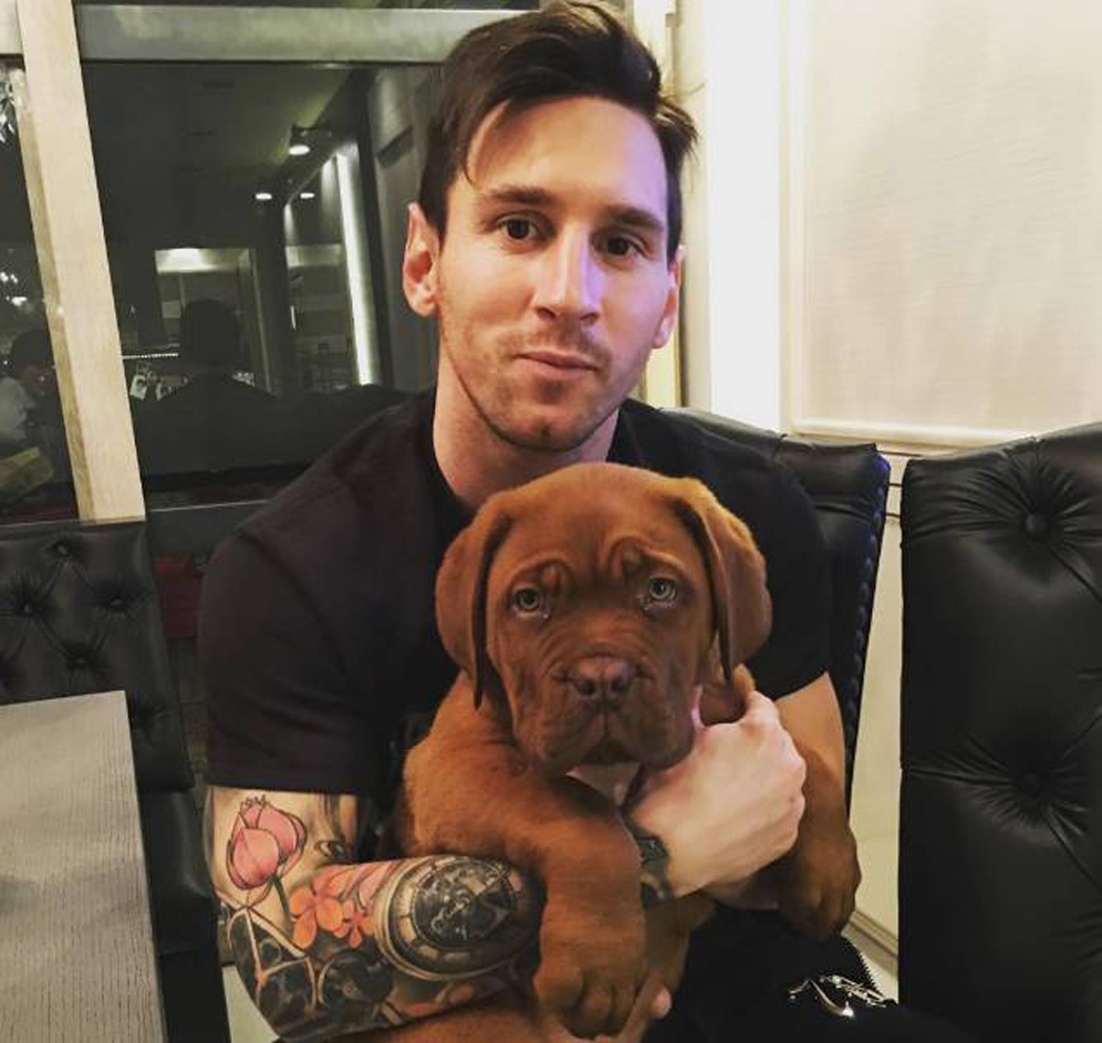 Hari Anjing Sedunia Ini Pose Keren Ronaldo Messi Lionel Messi