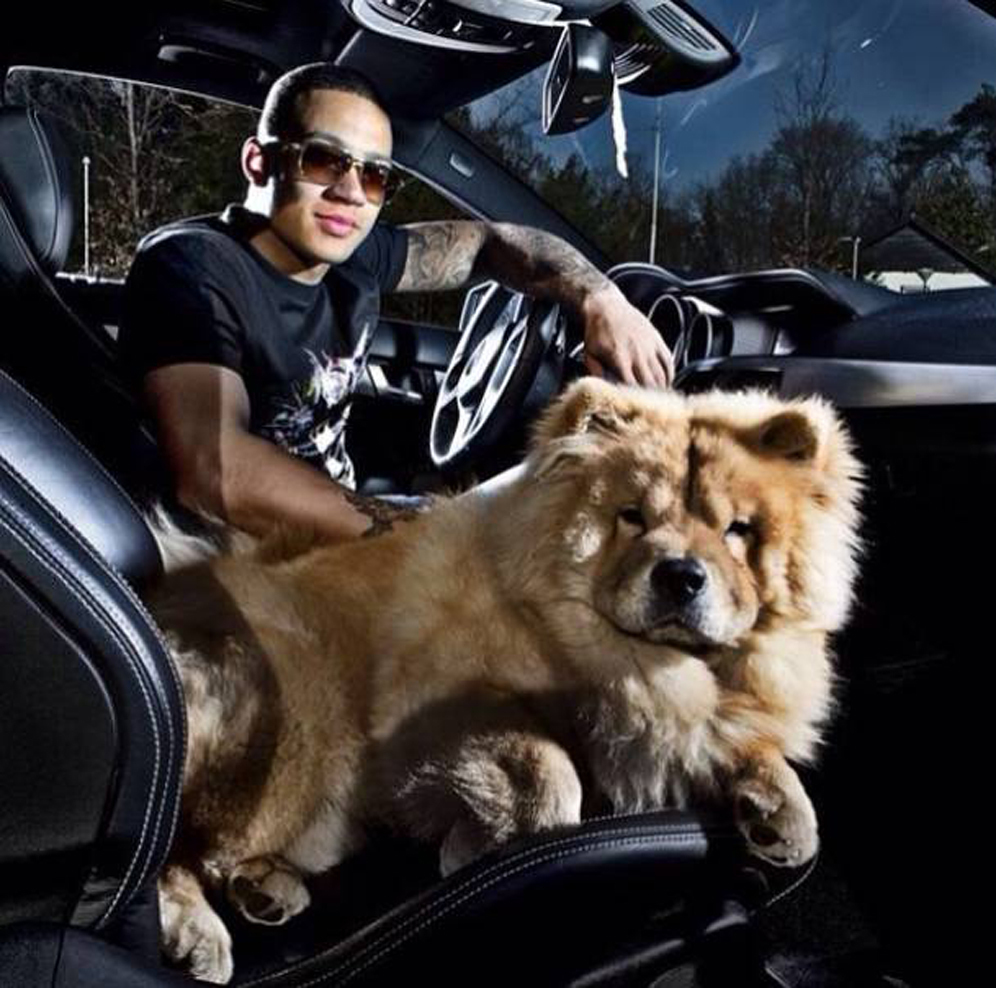 Hari Anjing Sedunia Ini Pose Keren Ronaldo Messi Memphis Depay