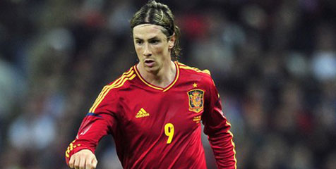 Fernando Torres Absen di Euro 2012?