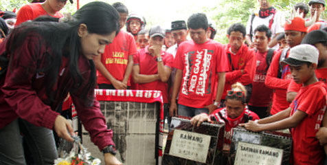 Pemain PSM dan Suporter Mengunjungi Makam Ramang