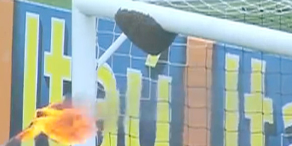Video: Demi Sepakbola, Lebah Pun Dilawan Video: Demi Sepakbola, Lebah Pun Dilawan