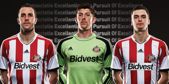 Detail Jersey: Sunderland Home 2013-2014