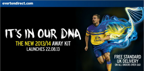 Detail Jersey: Everton Away 2013-2014