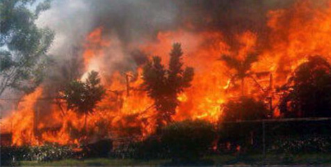 Hangusnya Ocean Garden Coreng HUT Arema