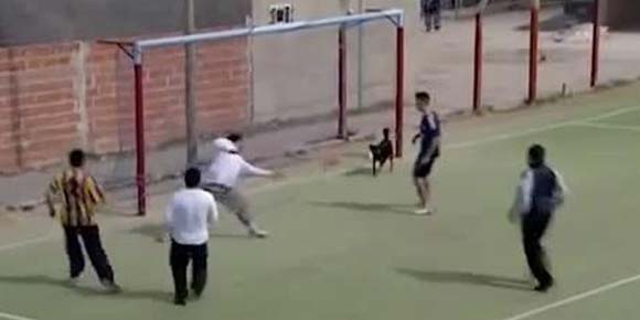 Video: Sundulan Seekor Anjing Sukses Bobol Gawang