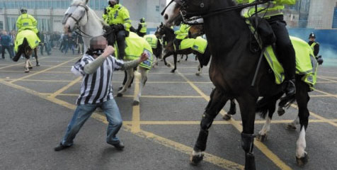 Fans Newcastle Dibui Setahun Usai Hajar Seekor Kuda