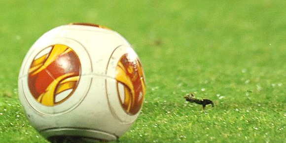 Highlights UEL: Real Betis 1-0 Guimares