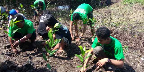 Persebaya Ultah, Bonek Gelar Kampanye Hijau di Hutan Mangrove