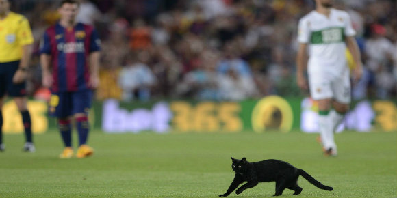 Kucing Hitam Ini Bawa Berkah Bagi Barca, Bawa Sial Bagi Mascherano