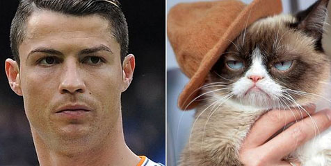 Ronaldo Kalah Kaya Dibandingkan Kucing Ini