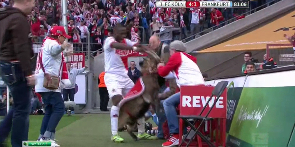 Video: Rayakan Gol, Striker Bundesliga Siksa Seekor Kambing