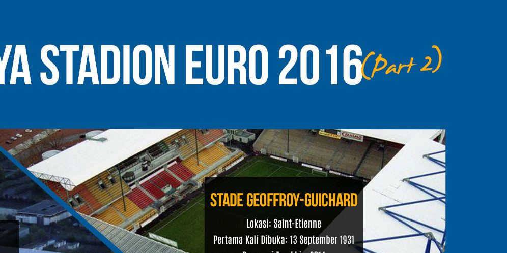 Infografis Stadion Euro 