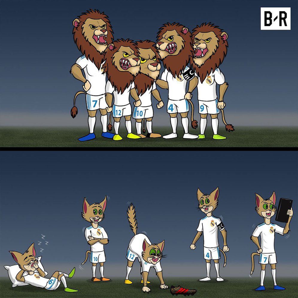 Meme Kocak Real Madrid Dari Singa Menjadi Kucing Bolanet