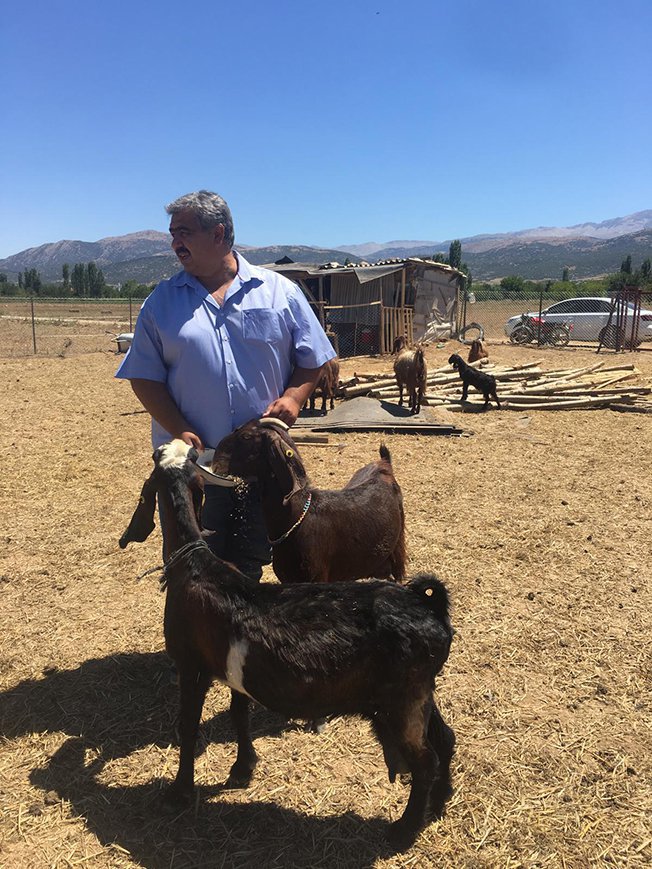 Presiden Gulspor Membeli Kambing Untuk Ivestasi Klubnya (c) Haber32