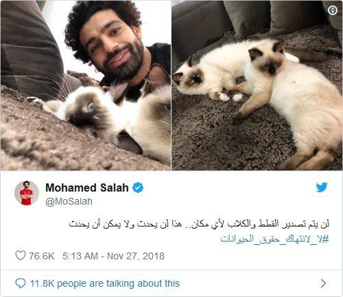 (c) Mohamed Salah Twitter
