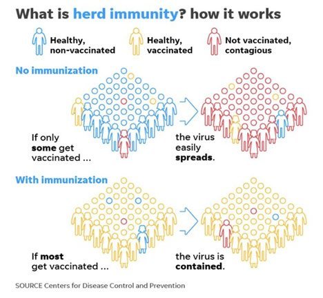 Herd immunity (c) Merdeka.com