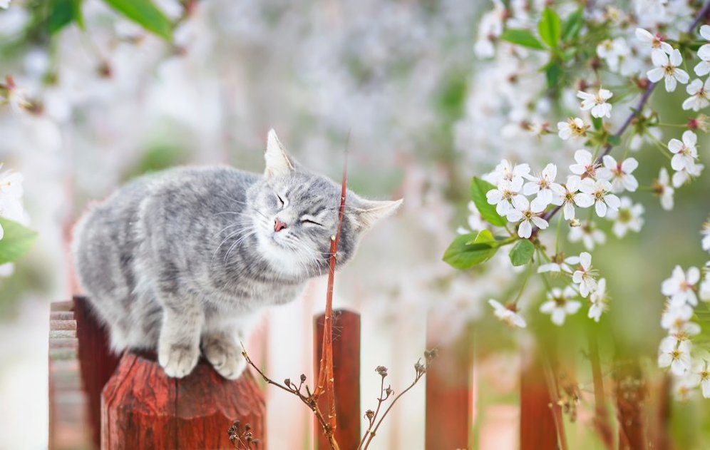 (c) shutterstock
