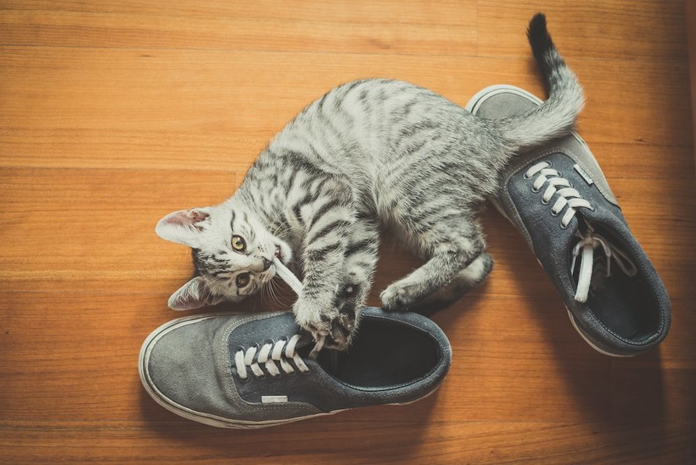  (c) shutterstock