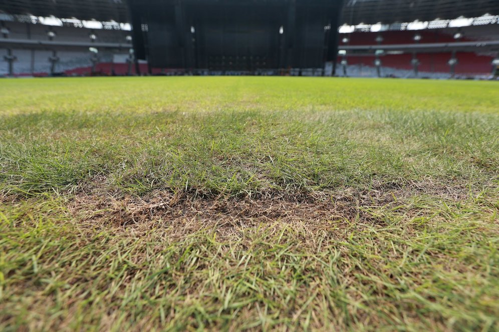 Kondisi rumput tampak botak dan mengering Stadion Utama Gelora Bung Karno (SUGBK), Senin (13/3/2023). Kualitas rumput SUGBK menurun setelah digunakan dua konser di stadion tersebut. (c) Bola.net/M Iqbal Ichsan