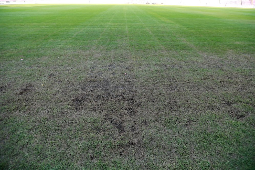 Kondisi rumput tampak botak dan mengering Stadion Utama Gelora Bung Karno (SUGBK), Senin (13/3/2023). Kualitas rumput SUGBK menurun setelah digunakan dua konser di stadion tersebut. (c) Bola.net/M Iqbal Ichsan