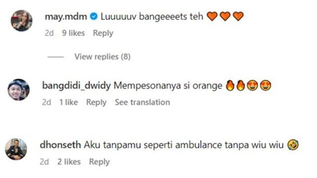 Komentar netizen terhadap lagu baru Wika Salim, Shopee AA. (c) Instagram/WikaSalim
