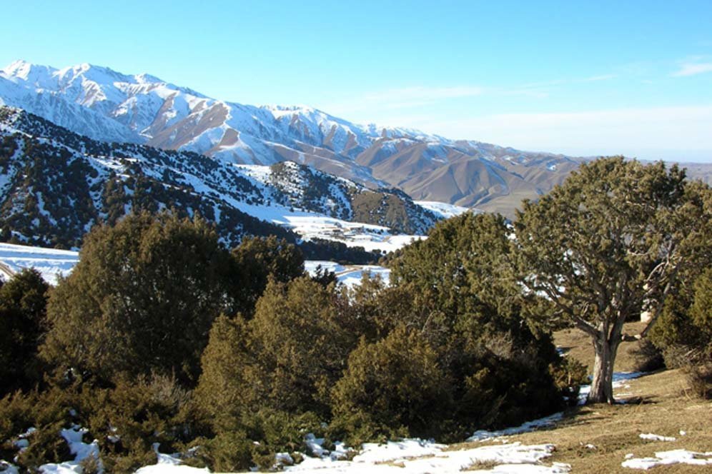 Pegunungan Kirgistan, Kyrgyz Ala-Too (c) Wikipedia