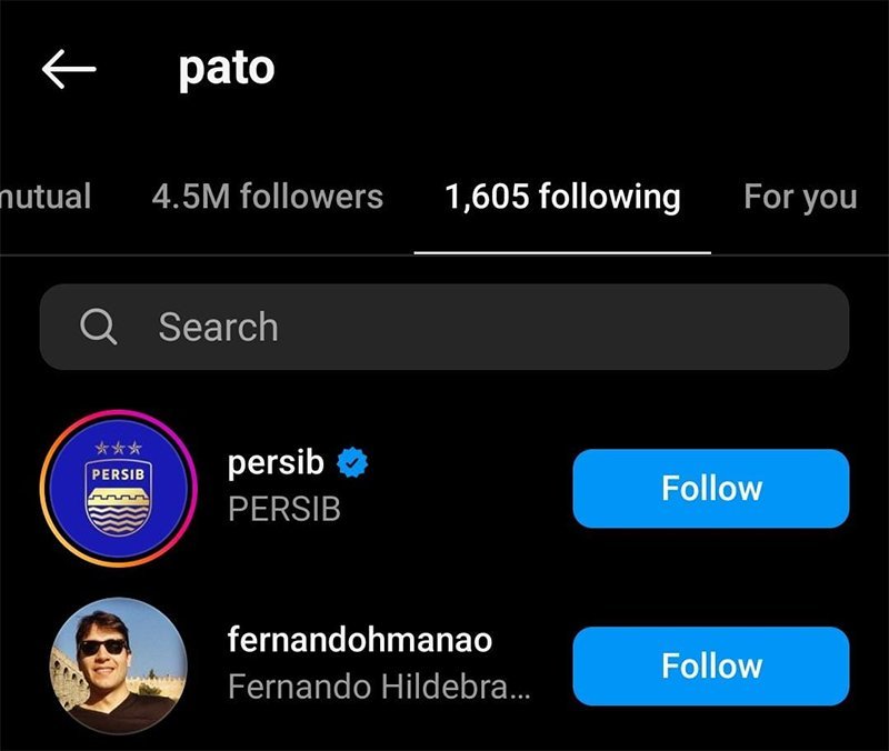 Tangkapan layar following akun instagram Pato pada Kamis (11/7/2024) pukul 14.40 WIB. (c) instagram/pato