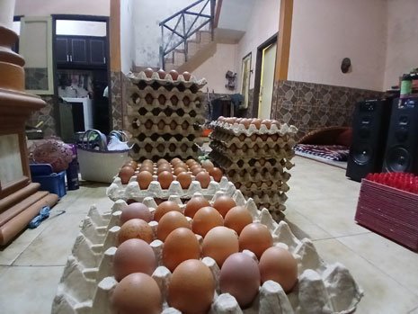 Telur hasil produksi peternakan ayam milik Cipto Mulyo yang maju berkat bantuan dari KUR BRI (c) Asad Arifin