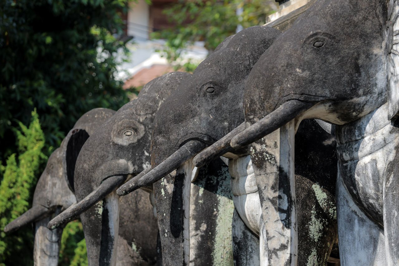 Keindahan kuil tertua di Chiang Mai, Thailand yaitu Wat Chiang Man (c) Bagaskara Lazuardi