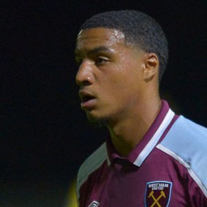 Armstrong Oko-Flex