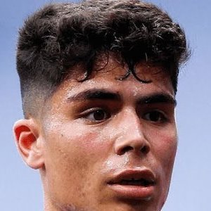 Nico Melamed
