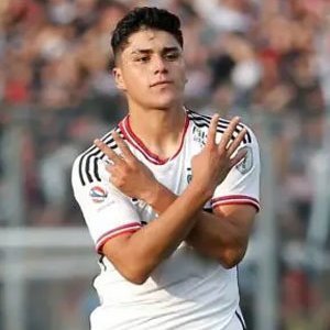 Damian Nicolas Pizarro Huenuqueo