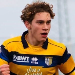 Daniel Mikolajewski