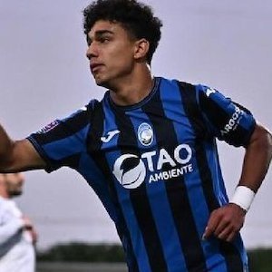 Dominic Vavassori