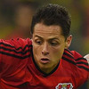 Schmidt: Chicharito Tidak Akan Kemana-mana!