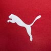 Barisan Jersey Puma Untuk Euro 2016