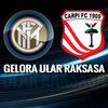 Prediksi Inter Milan vs Carpi 24 Januari 2016