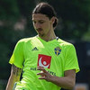 Adidas Sponsor MU Ingin Zlatan Ibrahimovic