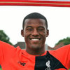 Wijnaldum Siap Main di Posisi Apapun