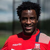 Stoke City Resmi Gaet Penyerang Wilfried Bony