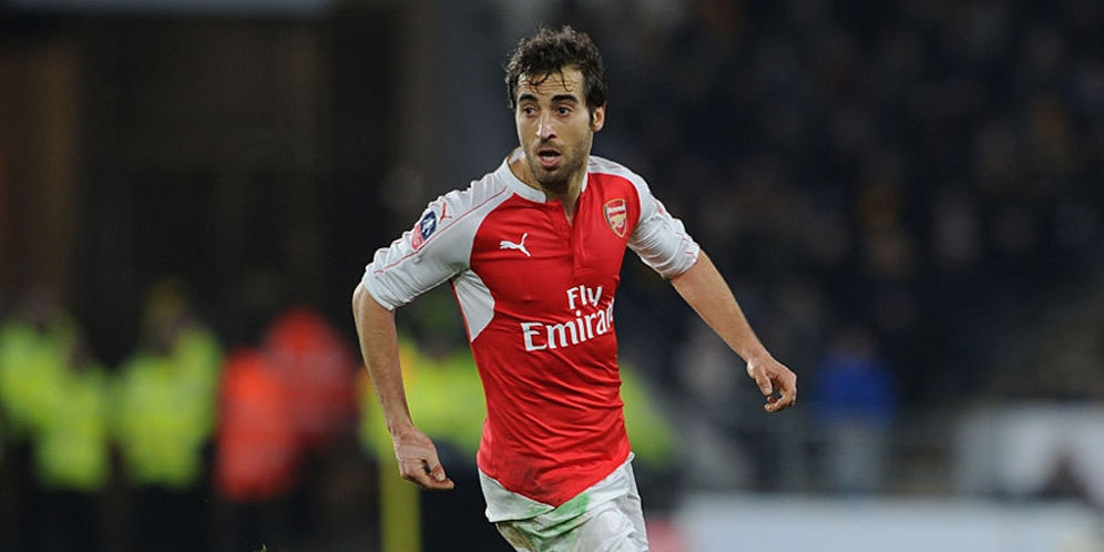 Wilshere Gagal, Palace Ingin Datangkan Flamini