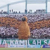 BCS Sleman Jadi Ultras Terbaik di Asia