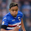 Liverpool Ikut-ikutan Tertarik Pada Luis Muriel