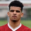 Solanke Sebut Liverpool Tempat Yang Pas Baginya Untuk Kembangkan Karir