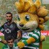 Singa-singa Lisbon Yang Jadi Jinak di Tanah Italia