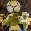 Zabivaka, Serigala Maskot Piala Dunia 2018