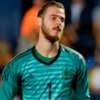 Bagi Del Bosque, De Gea adalah Kiper yang Sempurna