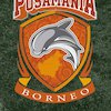 Live Streaming Liga 1 di Vidio.com: Borneo FC vs PSIS Semarang