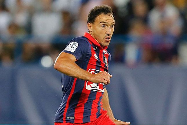 Steed Malbranque (Prancis)