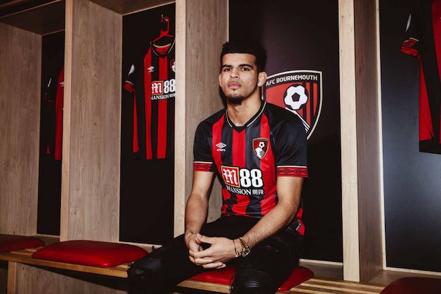 Dominic Solanke